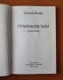 Гръмоблясъци - Дилян Бенев, снимка 2