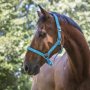 Цветни оглавници за коне - Colors, снимка 4