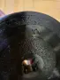 Дъмбели  2 броя ххххххххххххххх, снимка 10