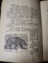 Две стари детски списания от Втората световна война и малко след това , снимка 10