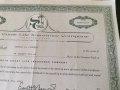 Сертификат за притежание на 26 акции (САЩ) | South Coast Life Insurance | 1963г., снимка 3