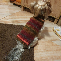 Плетена дрешка за куче М размер Различни цветове , снимка 14 - За кучета - 44343726