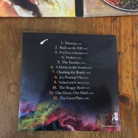 Rich Shapero - Too Far + Audio CD, снимка 16 - Художествена литература - 38605845