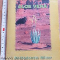 Aloe vera Barbadensis Miller, снимка 1 - Други - 37409700