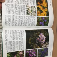 Енциклопедия A-Z of Annuals, Biennials & Bulbs (Successful Gardening), снимка 9 - Енциклопедии, справочници - 30873162