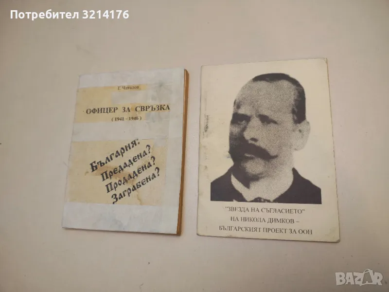 "Звезда на съгласието" на Никола Димков - българският проект за ООН – Колектив, снимка 1