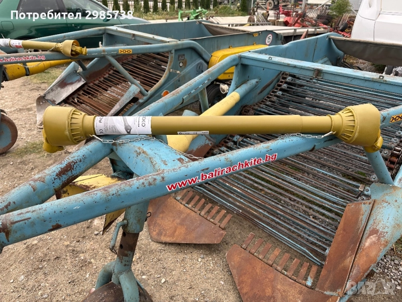 Картофовадачка двуредова , снимка 1