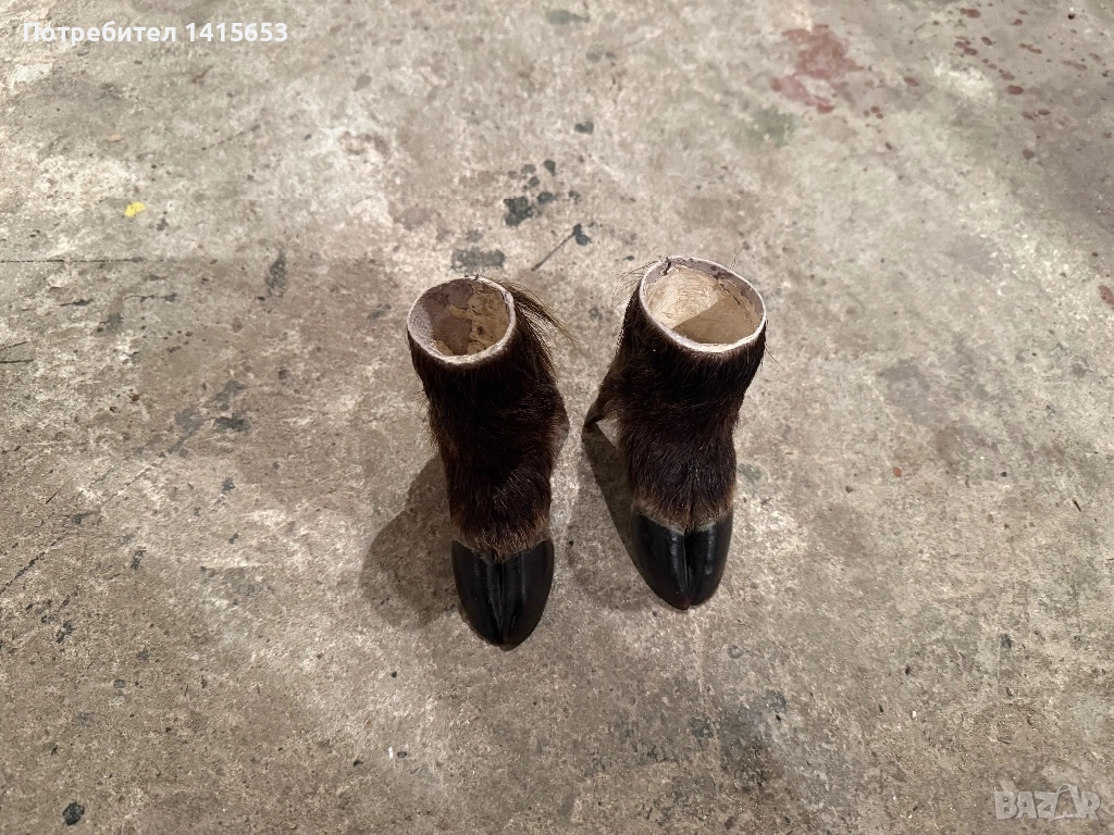 Продавам моливник от крак на прасе, снимка 1