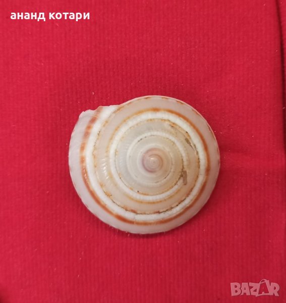 Вишну Чакра, снимка 1