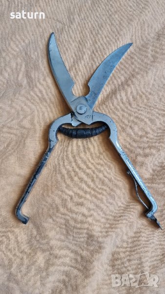 стара ножица за пернати Solingen , снимка 1