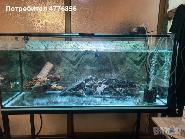 Продавам голям аквариум + стойка + Канистър