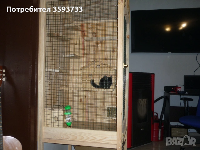 чинчила, снимка 2 - Други животни - 53192882