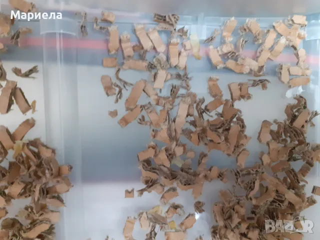 Чисто нов Унищожител на документи Monolith PBS-14-17 Cross 14 литра / Шредер, снимка 8 - Друго - 47955361