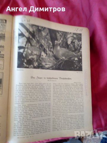  Wid and hund немско ловджийско списание 1930 - 1937 г, снимка 3 - Антикварни и старинни предмети - 37319252
