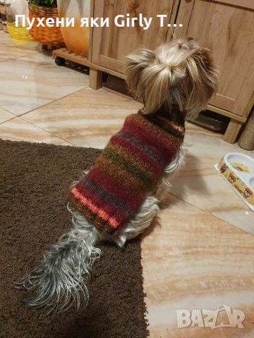 Плетена дрешка за куче М размер Различни цветове , снимка 14 - За кучета - 44343726