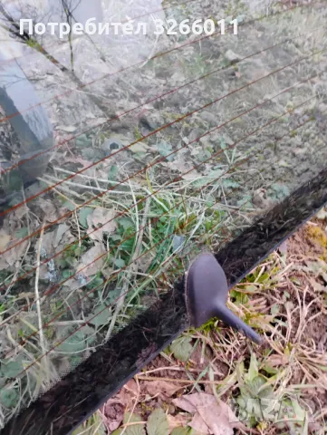 Мерцедес  w211 задно стъкло , снимка 5 - Части - 49327287