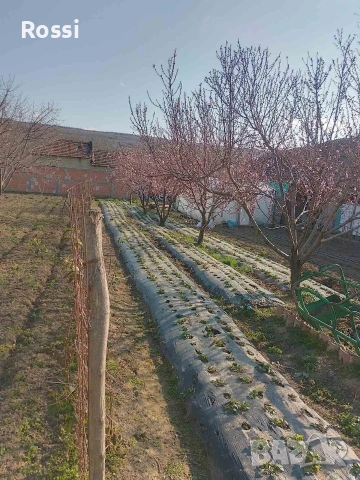 СЕЛСКИ ИМОТИ-РАНЧО/ФЕРМА, снимка 7 - Други - 53004122