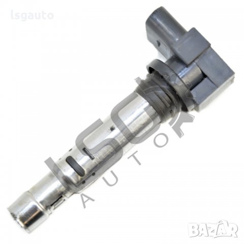 Запалителна бобина Volkswagen Passat (B6) 2005-2010 VP300821N-189