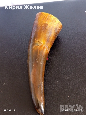 Винтидж чаша от стар кравешки рог за КОЛЕКЦИЯ ДЕКОРАЦИЯ 50647, снимка 4 - Други ценни предмети - 51776319