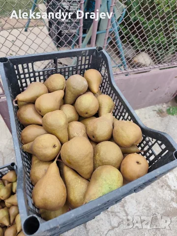 Круши, Ябълки,Мед и Сокове , снимка 3 - Домашни продукти - 56258345