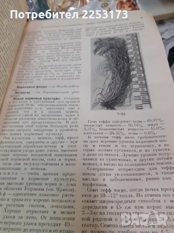 Украйнско соц.четиво за селски стопани, снимка 3 - Специализирана литература - 42743664
