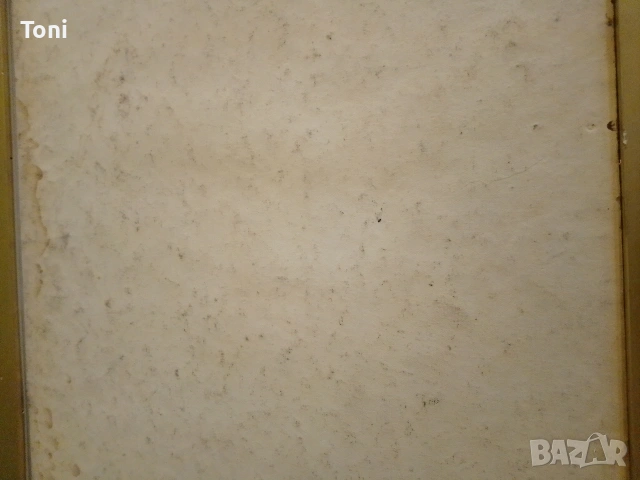 картини натюрморт стари!!!, снимка 12 - Антикварни и старинни предмети - 53581613