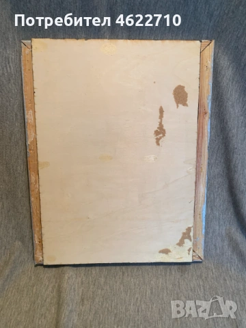 картина , снимка 6 - Картини - 53065572