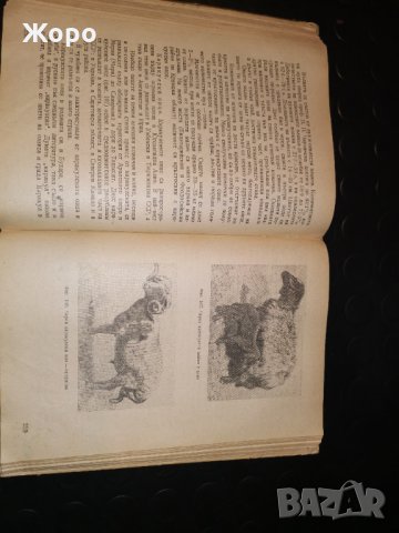 Овцевъдство, снимка 5 - Специализирана литература - 31306209