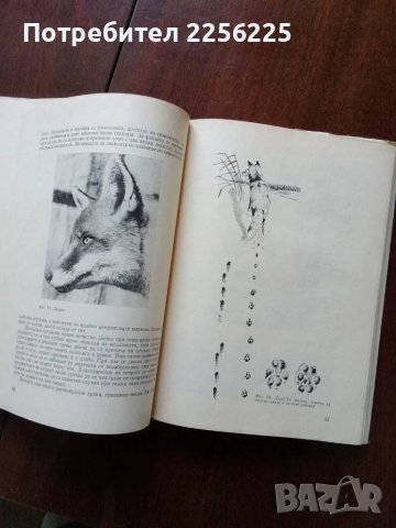 Дивеч и лов, снимка 2 - Специализирана литература - 50161294