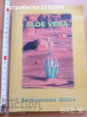 Aloe vera Barbadensis Miller