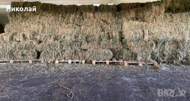 Бали от люцерна слама сено реколта 2025, снимка 3 - Други стоки за животни - 42741118