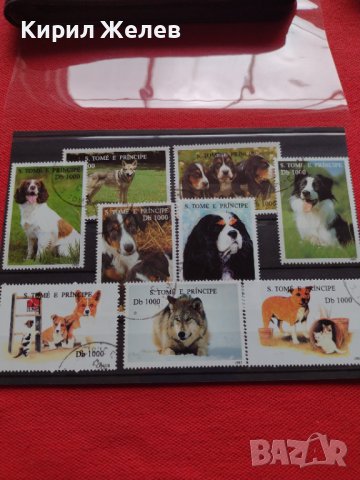 Пощенски марки чиста комплектна серия ЖИВОТНИ Кучета 1995г. за колекционери - 22031, снимка 7 - Филателия - 36641550