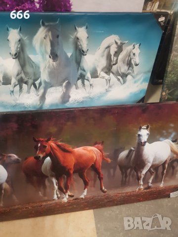 Картини, снимка 5 - Картини - 42216332