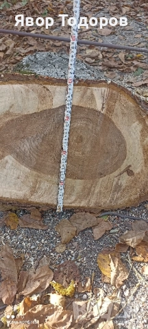 Орехов материал , снимка 11 - Дърводелски услуги - 52122704