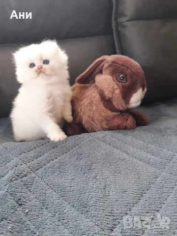 МНОГО,МНОГО СЛАДИЧКО БЕБЕНЦЕ
