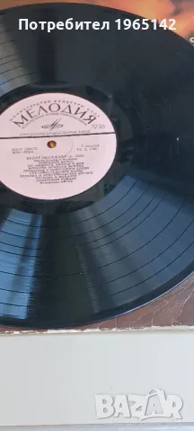 Грамофонни плочи, снимка 8 - Грамофонни плочи - 49885012