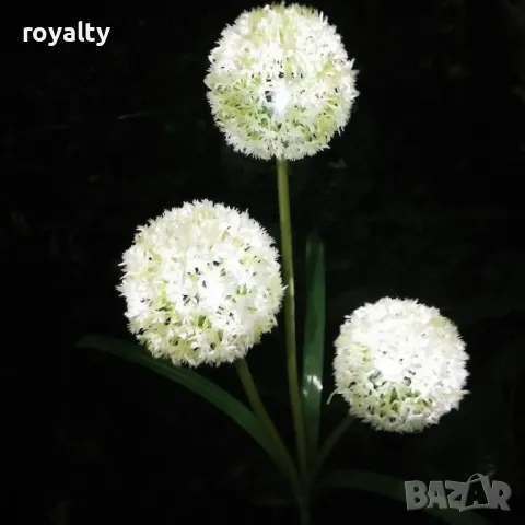 Соларни LED градински светлини - цветя, снимка 8 - Лед осветление - 49173677