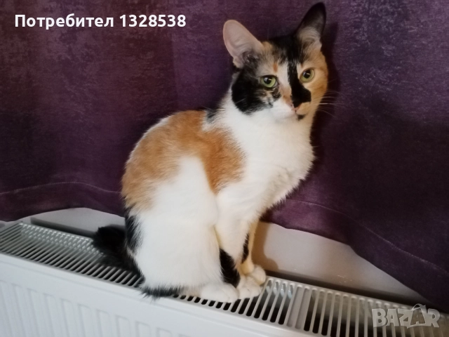 Подарява се