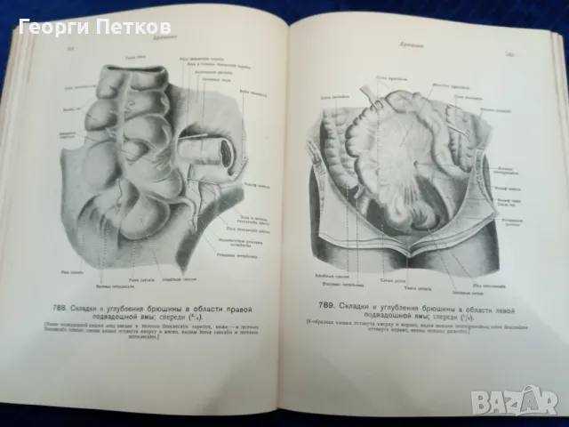 Атлас анатомии человека -1947 год. , снимка 6 - Чуждоезиково обучение, речници - 49738944