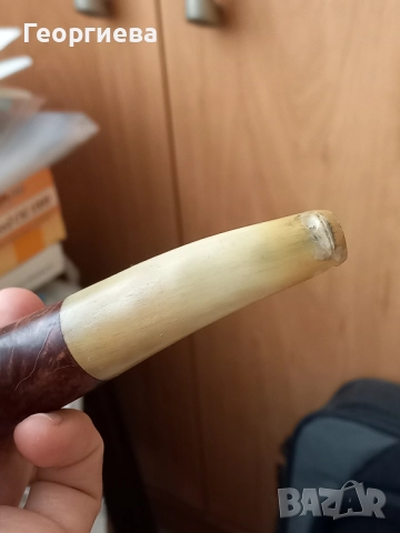 Лула с кокален мущук, снимка 4 - Лули - 51466186