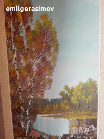 Две маслени картини и красив гоблен., снимка 11 - Картини - 54238495
