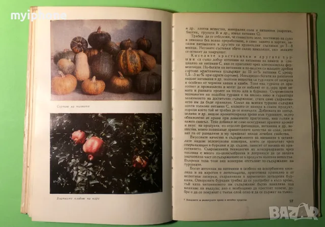 Стара Книга Плодовете и Зеленчуците Храна и Лечебно Средство, снимка 6 - Специализирана литература - 49279639