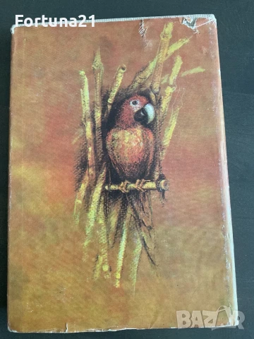 Животът и приключенията на Робинзон Крузо - Даниел Дефо, снимка 2 - Художествена литература - 51271675