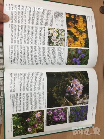 Енциклопедия A-Z of Annuals, Biennials & Bulbs (Successful Gardening), снимка 9 - Енциклопедии, справочници - 30873162