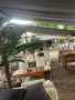 Кафе - аператив , снимка 1