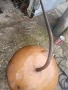 продавам казани за варене на ракия, снимка 2