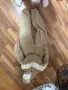 Дамски екипи различни модели, снимка 3