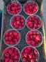 продавам малини, снимка 1