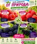 Плодни храсти. Малини, къпини и арония, снимка 1