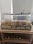 оборудване за магазин за ядки,кафене , снимка 3